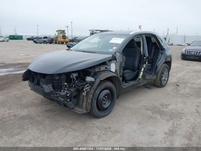 JTJYARBZ2K2144346 Lexus NX 300