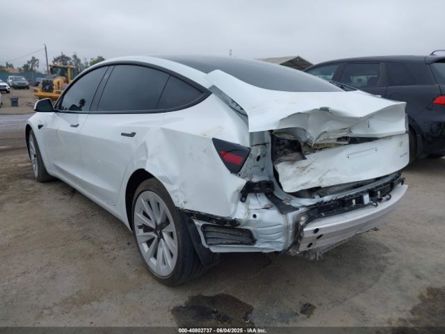 2021 TESLA MODEL 3 5YJ3E1EB8MF868916 Photo 2