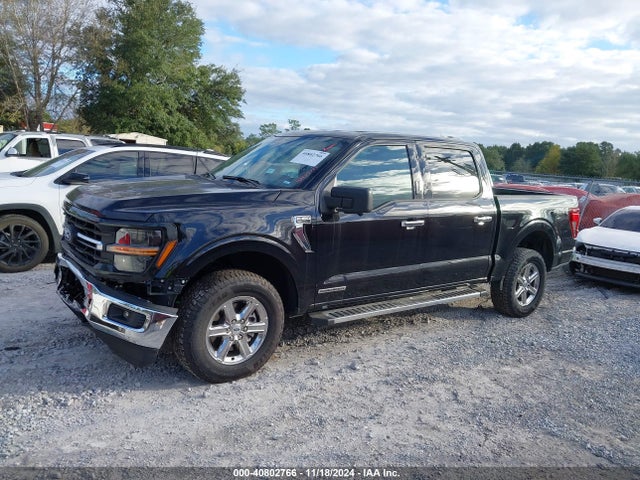 Ford F-150 Xlt 2024 1FTFW3LD8RFA41463 Image 14