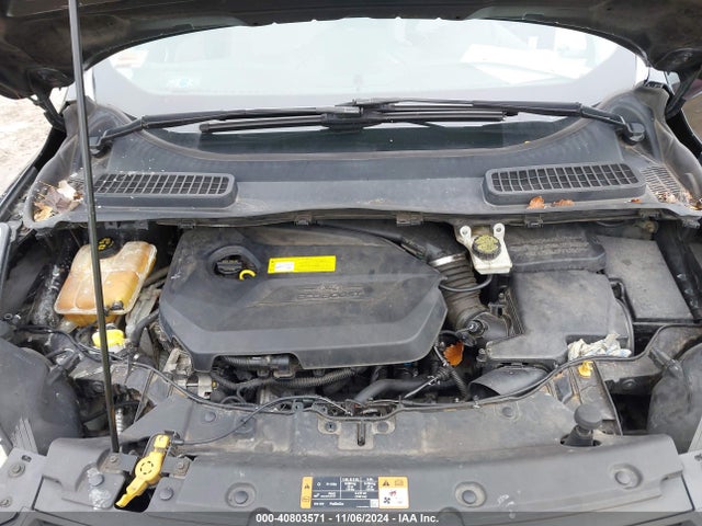 Ford ESCAPE SE 2015 1FMCU0GX2FUC14232 Image 10