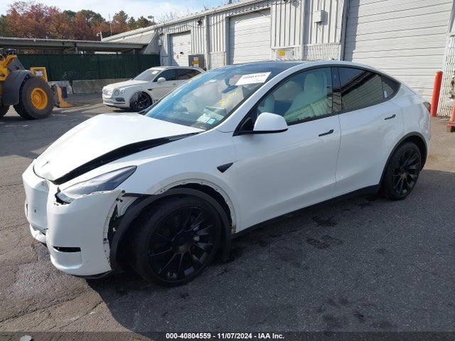 2023 TESLA MODEL Y 7SAYGDEE3PF630734 Photo 1