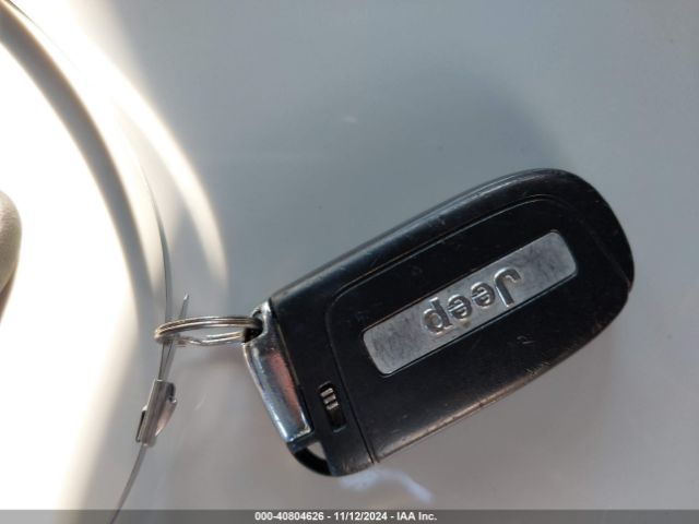 3C4NJDEB0MT601065 Jeep Compass 80th Edition