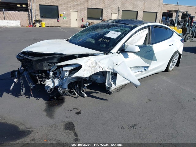 2023 TESLA MODEL 3 5YJ3E1EA5PF496317 Photo 1