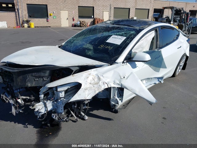 2023 TESLA MODEL 3 5YJ3E1EA5PF496317 Photo 5