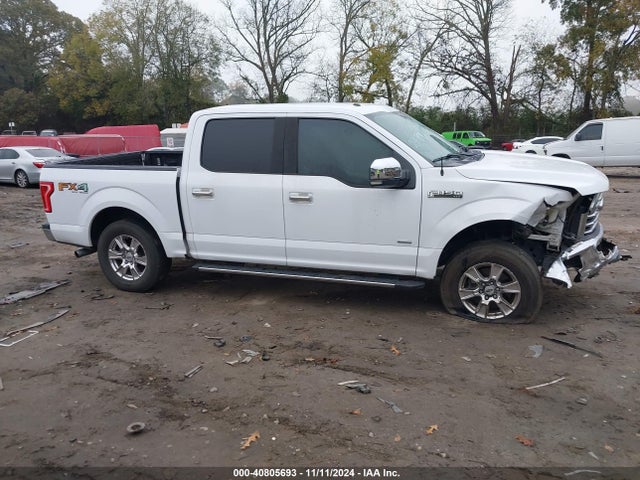 Ford F-150 Xlt 2015 1FTEW1EG9FKF01899 Image 13
