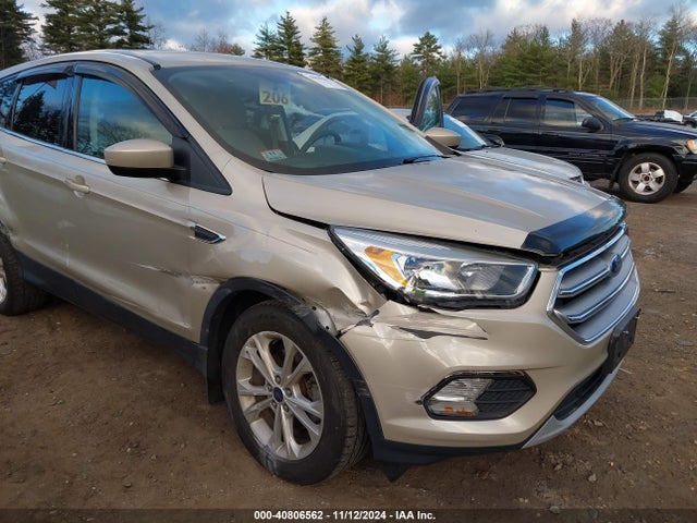 1FMCU0GD0HUE02207 Ford ESCAPE SE