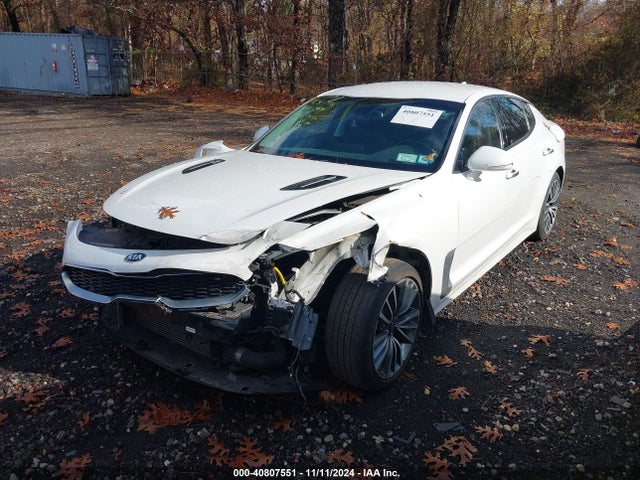 KIA Stinger 2019 KNAE15LA1K6043666 Image 2