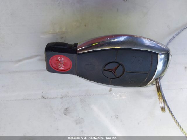 2010 MERCEDES-BENZ GL 550 4JGBF8GE0AA603593 Photo 10