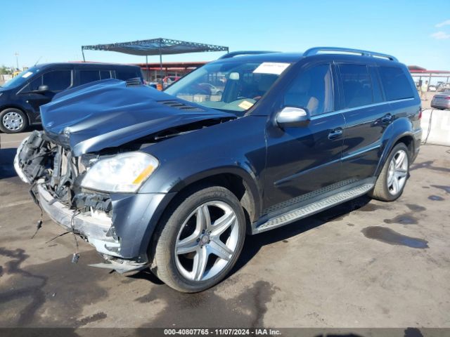 2010 MERCEDES-BENZ GL 550 4JGBF8GE0AA603593 Photo 1