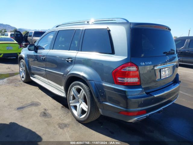 2010 MERCEDES-BENZ GL 550 4JGBF8GE0AA603593 Photo 2
