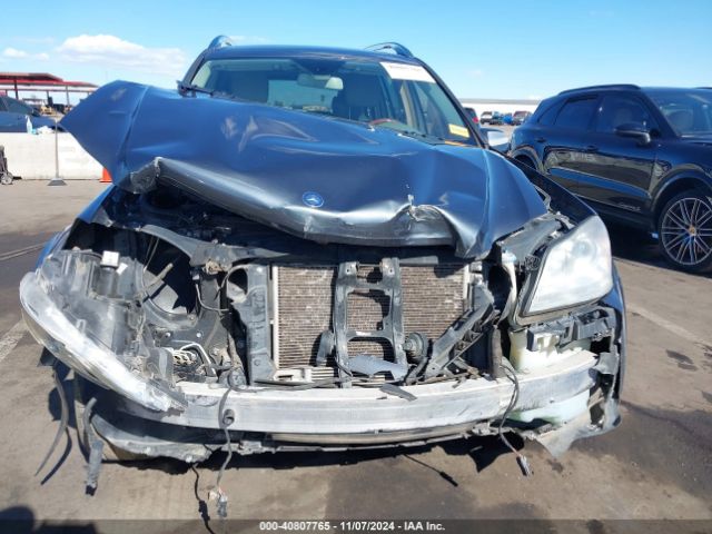 2010 MERCEDES-BENZ GL 550 4JGBF8GE0AA603593 Photo 5