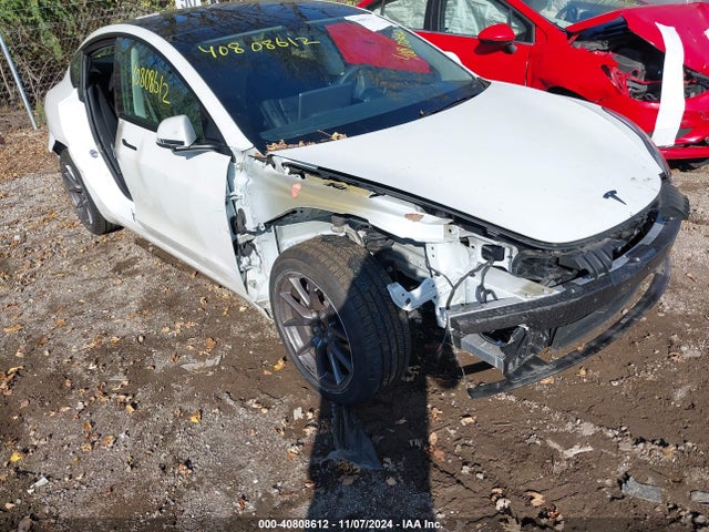 2023 TESLA MODEL 3 5YJ3E1EAXPF611302 Photo 5