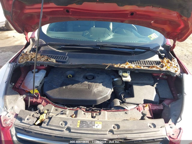 Ford ESCAPE SE 2014 1FMCU9G96EUD99454 Image 10