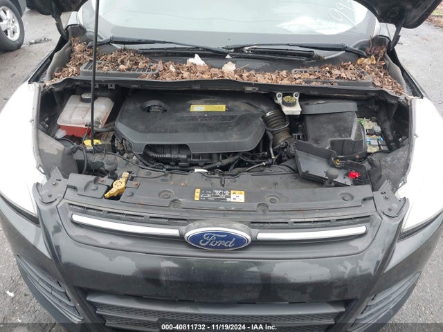 Ford ESCAPE SE 2014 1FMCU0GX8EUC99933 Image 10
