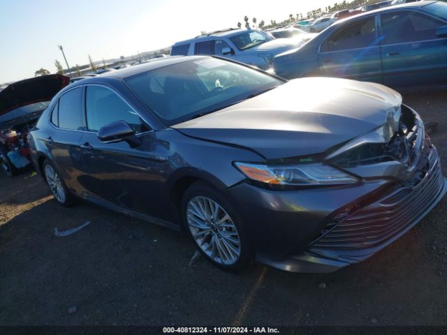 4T1F31AK7LU535925 Toyota Camry Xle Hybrid