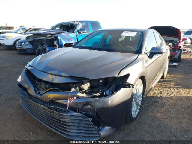 4T1F31AK7LU535925 Toyota Camry Xle Hybrid