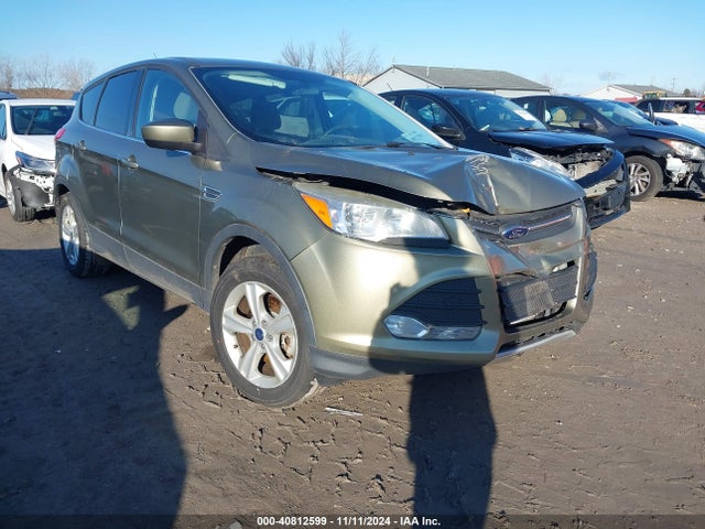 Ford ESCAPE SE 2014 1FMCU0G97EUA53926 Image 1