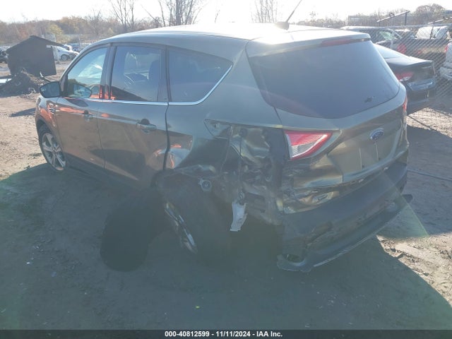Ford ESCAPE SE 2014 1FMCU0G97EUA53926 Image 3
