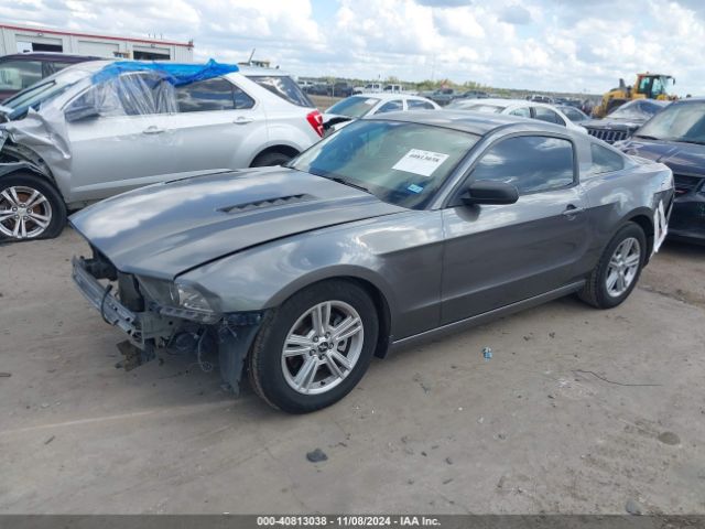 1ZVBP8AM9E5280755 Ford Mustang