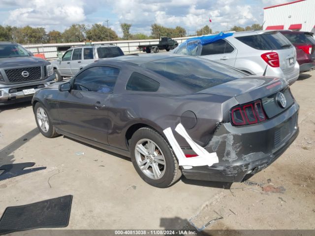 1ZVBP8AM9E5280755 Ford Mustang
