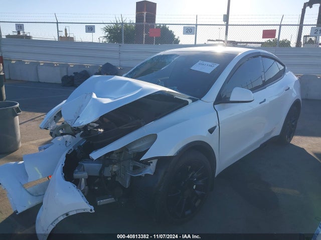 2023 TESLA MODEL Y 7SAYGDEEXPA126856 Photo 1