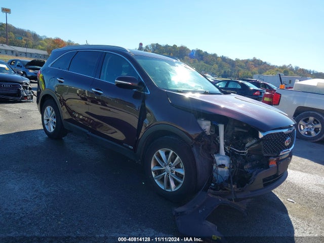 2017 5XYPGDA55HG329455 main image