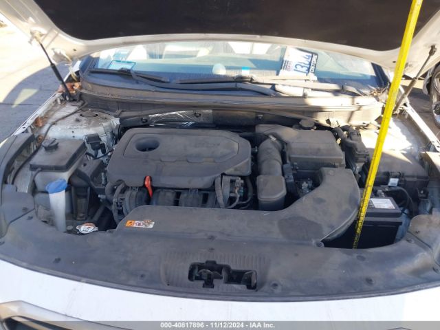 5NPE24AF6GH300309 Hyundai SONATA SE