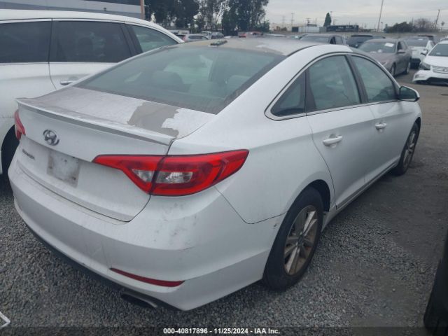 5NPE24AF6GH300309 Hyundai SONATA SE