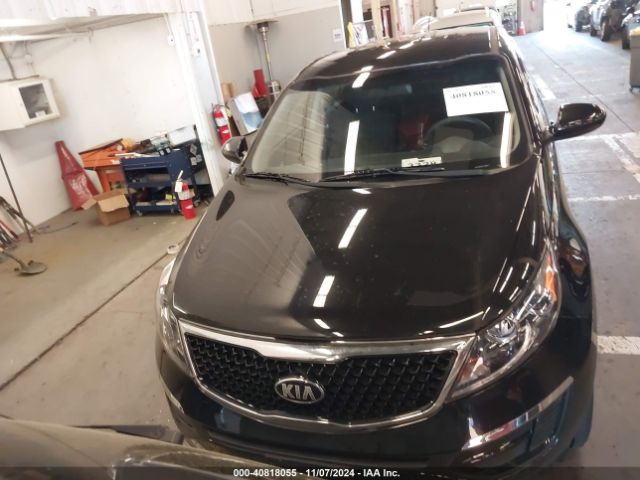KNDPB3AC1F7712309 KIA Sportage Lx