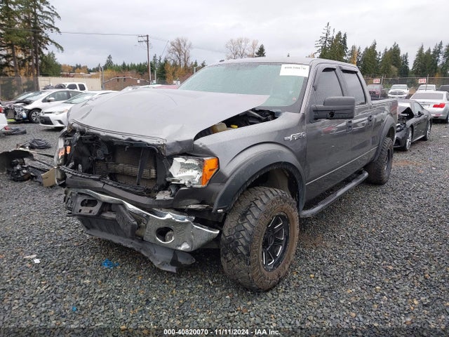 Ford F-150 Xlt 2014 1FTFW1EF9EKF99245 Image 2
