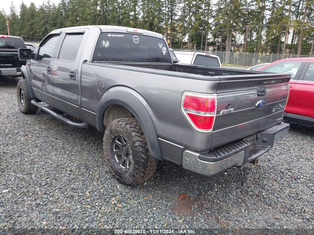 Ford F-150 Xlt 2014 1FTFW1EF9EKF99245 Image 3