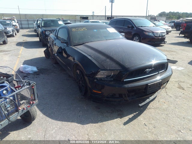 2014 1ZVBP8AM4E5313595 main image