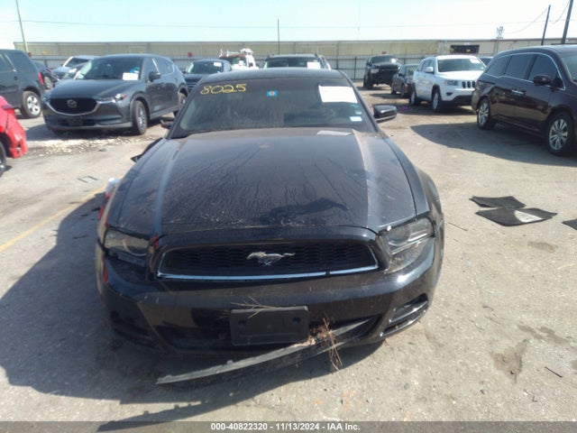 Ford Mustang V6 2014 1ZVBP8AM4E5313595 Image 12