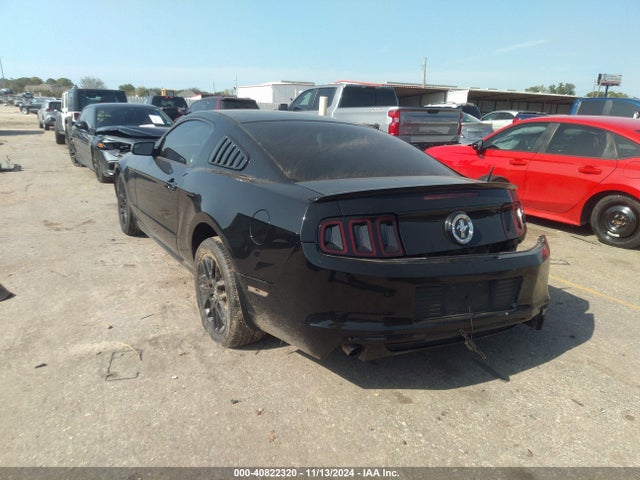 Ford Mustang V6 2014 1ZVBP8AM4E5313595 Image 3