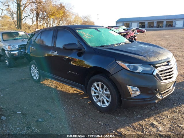 Chevrolet EQUINOX LS 2019 2GNAXHEV2K6191862 Image 1