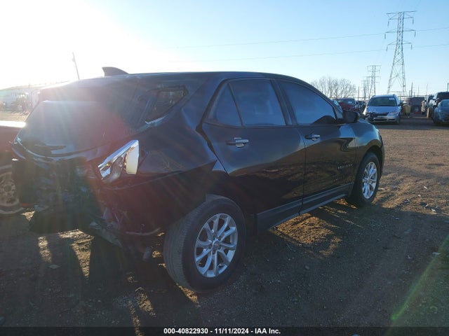 Chevrolet EQUINOX LS 2019 2GNAXHEV2K6191862 Image 4