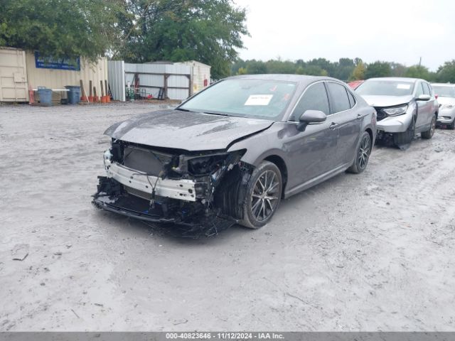 4T1T11AK6PU803541 Toyota CAMRY SE
