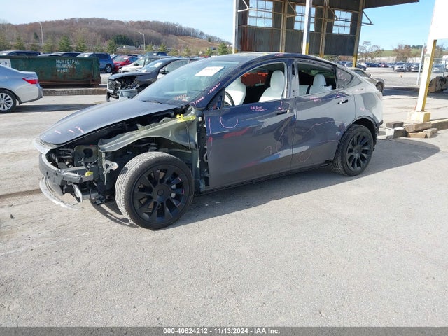 2023 TESLA MODEL Y 7SAYGDEE4PA181190 Photo 1