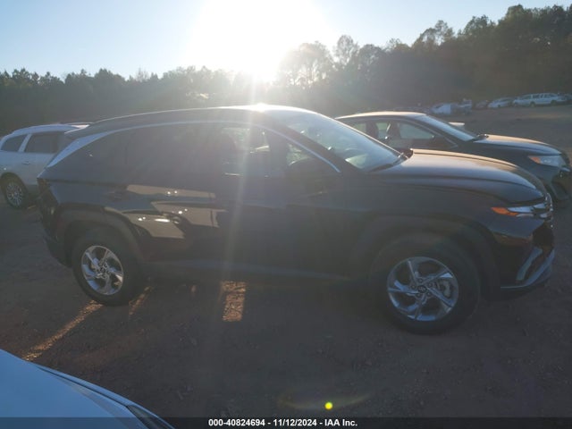 Hyundai TUCSON SEL 2024 5NMJBCDE7RH326199 Image 13