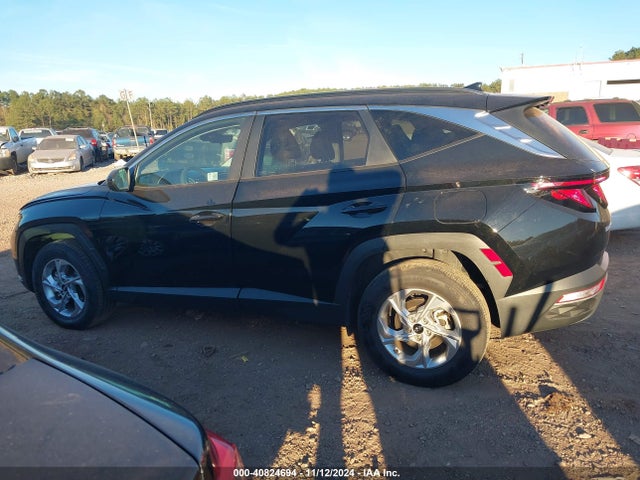 Hyundai TUCSON SEL 2024 5NMJBCDE7RH326199 Image 14