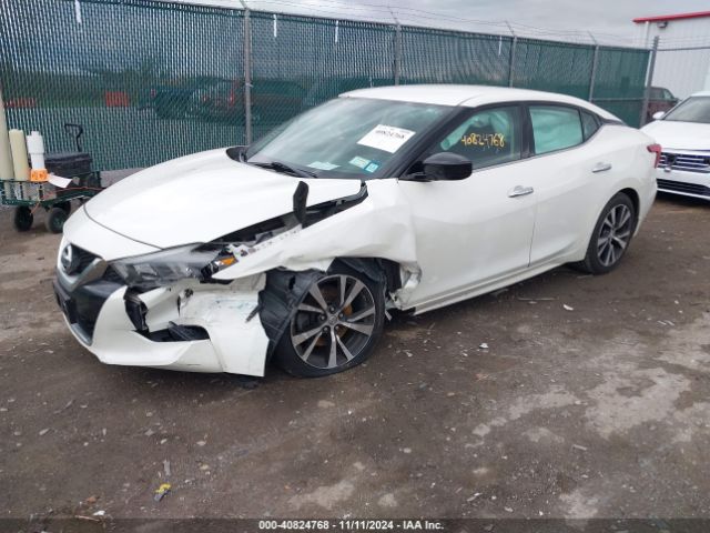 1N4AA6AP5HC447844 Nissan Maxima 3.5 S
