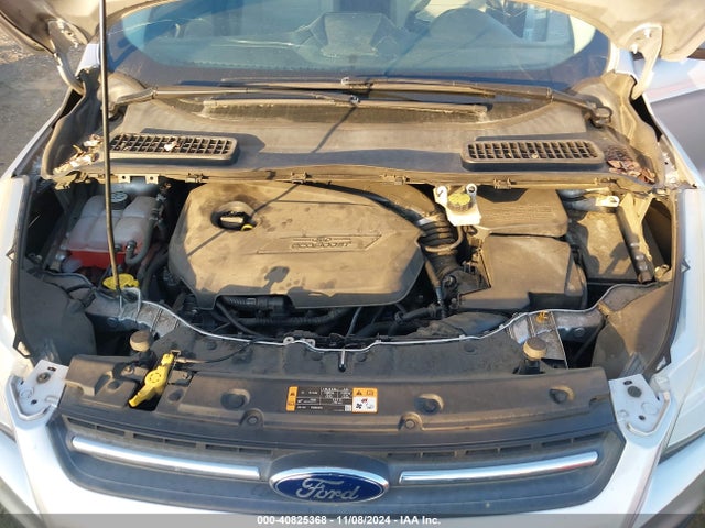 Ford ESCAPE SE 2014 1FMCU0GX8EUA53366 Image 10