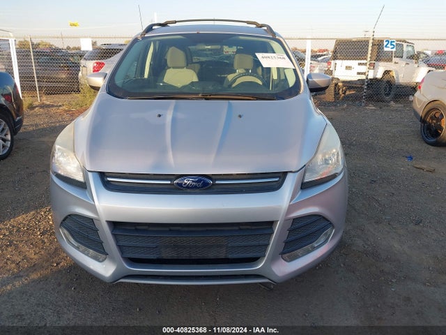 Ford ESCAPE SE 2014 1FMCU0GX8EUA53366 Image 6