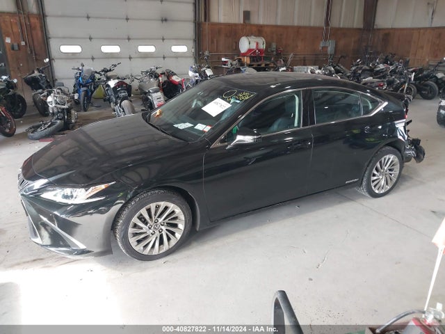 58AE21B16LU005362 Lexus Es 300h Luxury