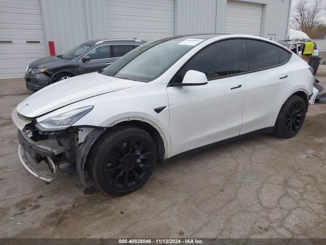 2020 TESLA MODEL Y 5YJYGDEF2LF004222 Photo 1
