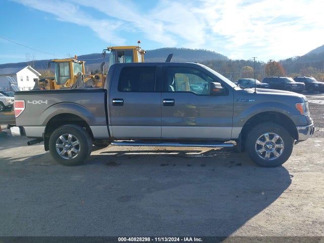 Ford F-150 Xlt 2014 1FTFW1EF1EFA91764 Image 13