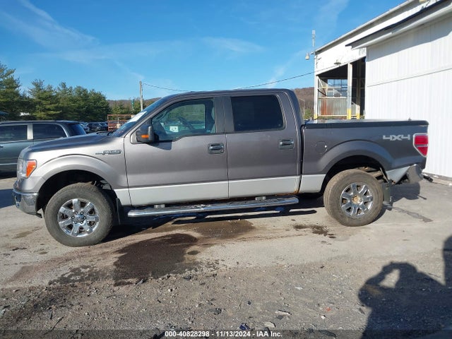 Ford F-150 Xlt 2014 1FTFW1EF1EFA91764 Image 14