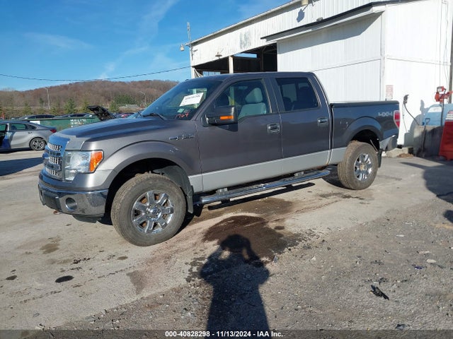Ford F-150 Xlt 2014 1FTFW1EF1EFA91764 Image 2