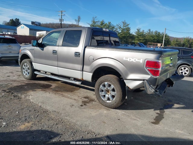 Ford F-150 Xlt 2014 1FTFW1EF1EFA91764 Image 3