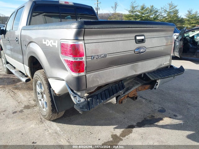 Ford F-150 Xlt 2014 1FTFW1EF1EFA91764 Image 6